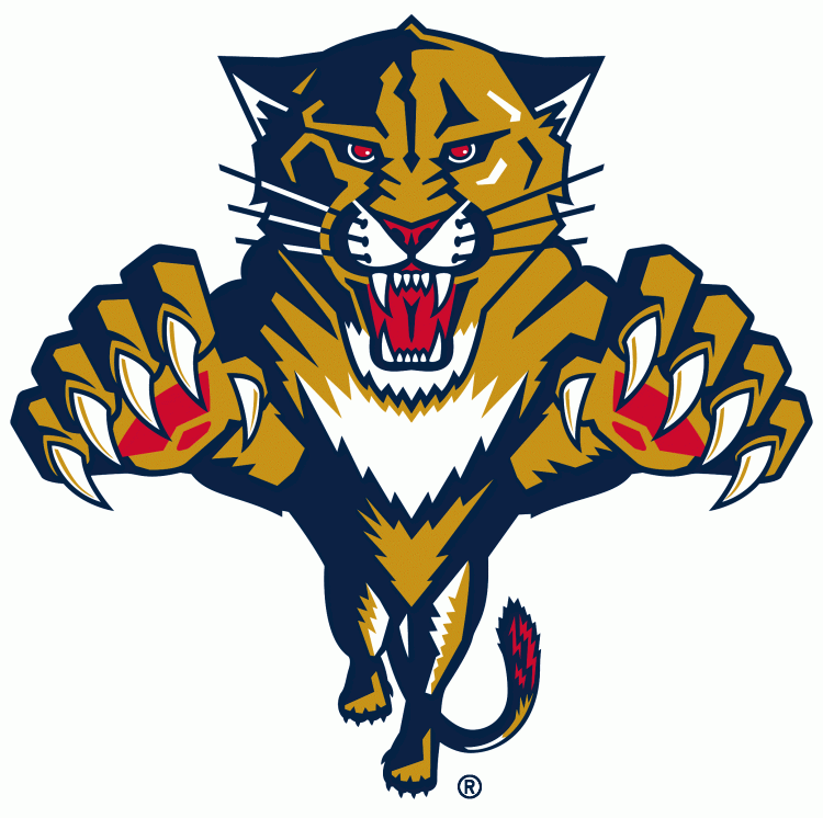 Florida Panthers1999-2016 Primary Logo iron on transfers for clothing